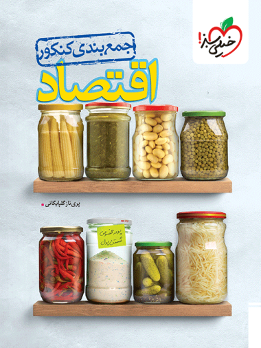 کتاب جمع بندی اقتصاد کنکور خیلی سبز
